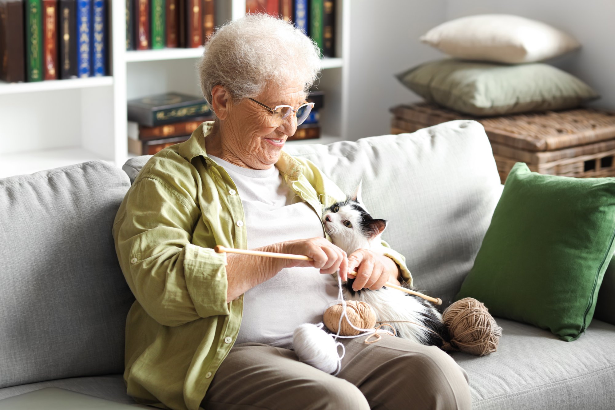 Pet food bank shelves