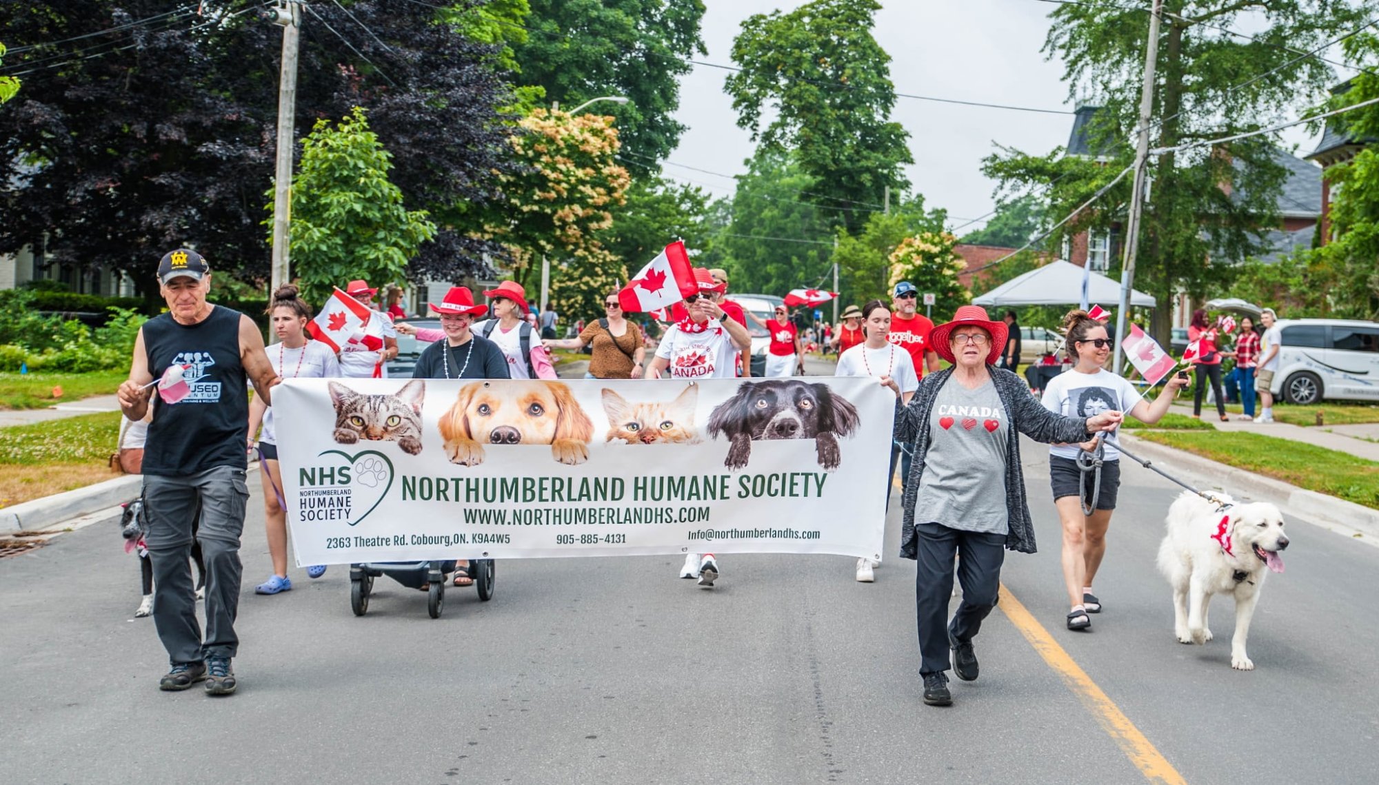 People and animals at an NHS community event